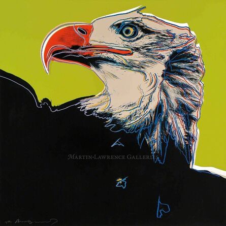 Andy Warhol, ‘Bald Eagle, 1983 (#296, Endangered Species)’, 1983
