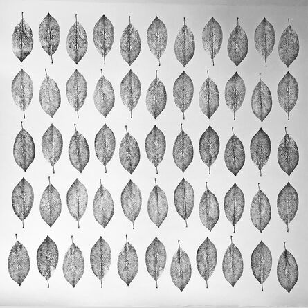 Andre Mirzaian, ‘Magnolia Leaves Grid’, 2017
