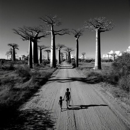 Chris Simpson, ‘Allée des Baobabs, Madagascar’, 1997