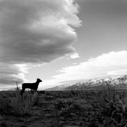 Hunter S. Thompson, ‘‘Agar’s silhouette near Woody Creek, Colorado’, 1960’s 