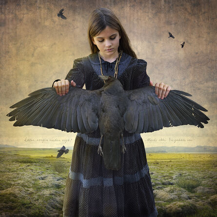 Tom Chambers, ‘Trickster’, 2015