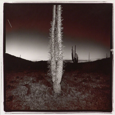 Richard Misrach, ‘Plate 26 (boojum), from the Night Desert series’, 1977