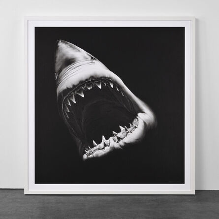 Robert Longo, ‘Big Shark’, 2010