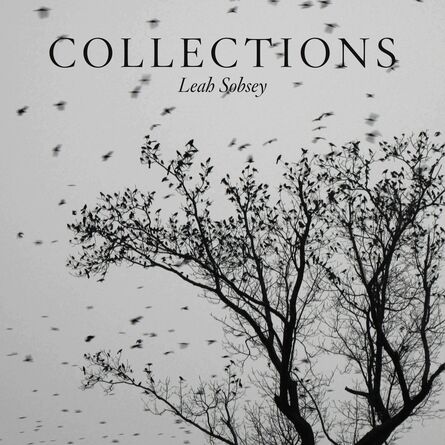 Leah Sobsey, ‘"Collections"’, 2016