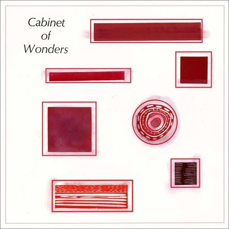Diane Fine, ‘Cabinet of Wonders’, 2020