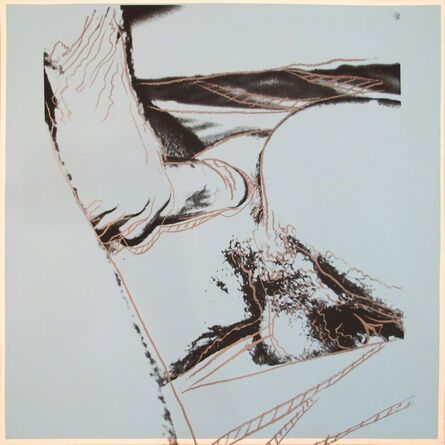 Andy Warhol, ‘Sex Parts [II.172]’, 1978
