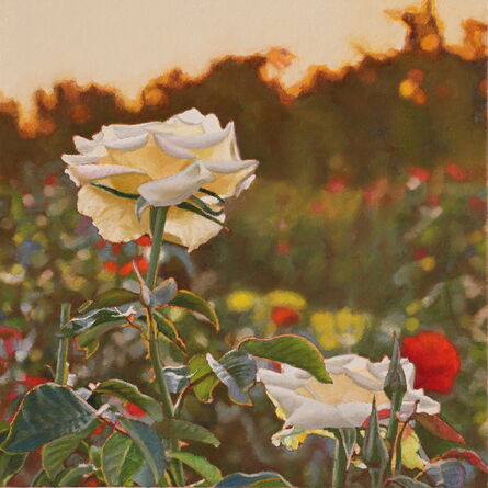 Jeffrey Vaughn, ‘Rose Garden’, 2020