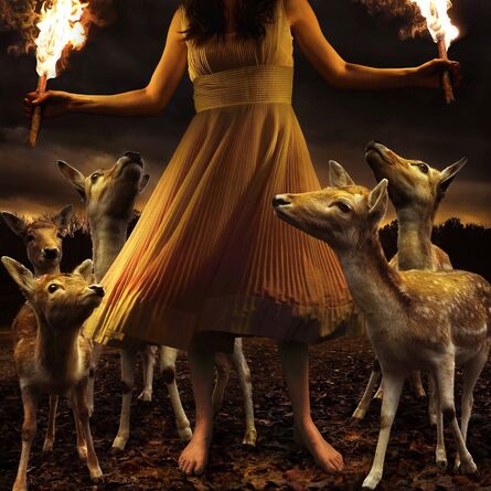 Tom Chambers, ‘Burn to Shine’, 2013