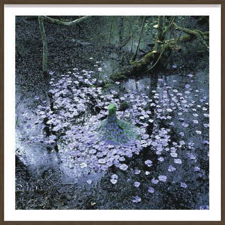 Nils Udo, ‘Mare, Feuilles, Fleurs d'Hortensia’, 2000