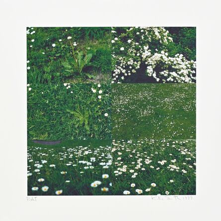 Kiki Smith, ‘Little Meadow’, 1999