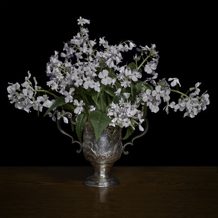 T.M. Glass, ‘Woodland Scilla and Phlox in a Silver Cup’, 2019