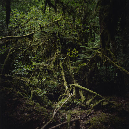 Jason Frank Rothenberg, ‘Moss’, 2007