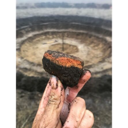Jemila MacEwan, ‘Human Meteorite - redwood remains’, 2017-2020