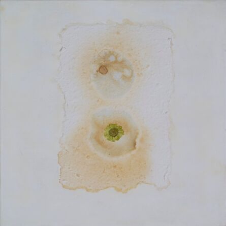 Sara Crisp, ‘Untitled (Paper Roses #1)’, 2013