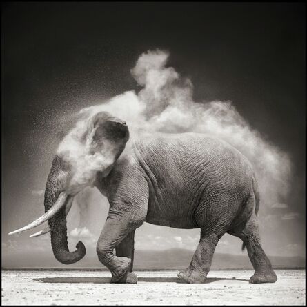 Nick Brandt, ‘Elephant with Exploding Dust, Amboseli 2004’, 2004