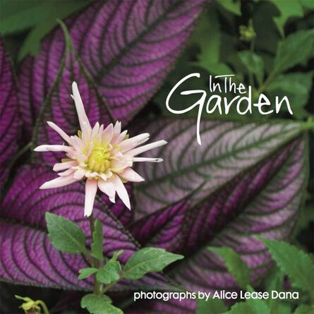 Burns Archive, ‘In The Garden: Flower Photographs of Alice Lease Dana’, 2017