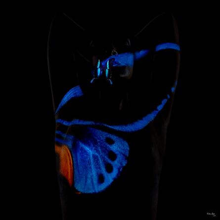 Giuliano Bekor, ‘Butterfly B7’, 2018