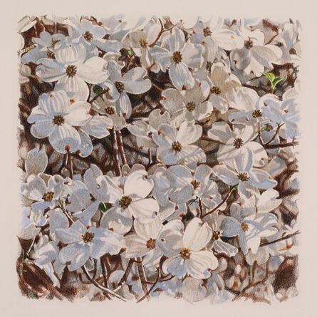 Jeffrey Vaughn, ‘Dogwood Blossoms’, 2021