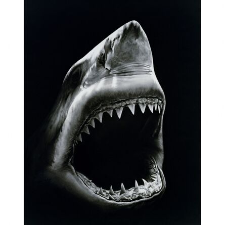 Robert Longo, ‘Shark 5’, 2008-2011