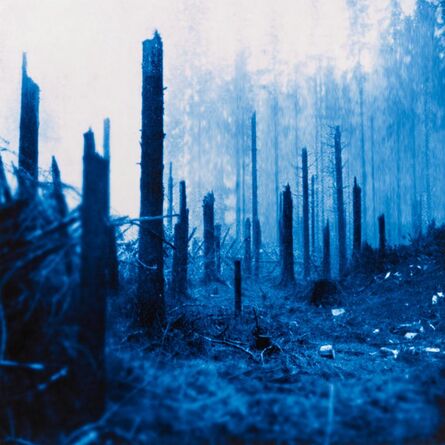 Via Lewandowsky, ‘Dröhnen (Wald)’, 1998