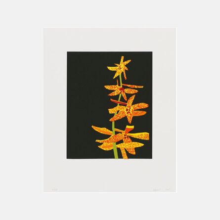 Jonas Wood, ‘Untitled (Orchid I)’, 2015