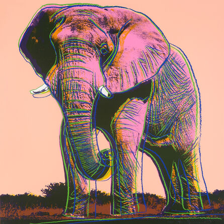 Andy Warhol, ‘African Elephant, from Endangered Species (F. & S. 293)’, 1983
