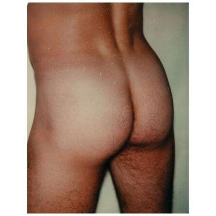 Andy Warhol, ‘Polaroids Photograph, Sex Parts: Rear’, 1977