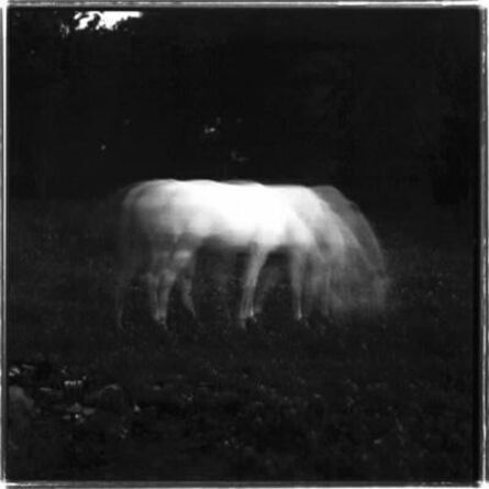 Keith Carter, ‘White Horse in Moonlight’, Unknown