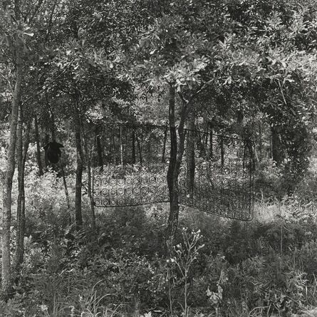 Carrie Mae Weems, ‘Untitled (Box Spring in Tree) (from Sea Islands Series)’, 1991-1992