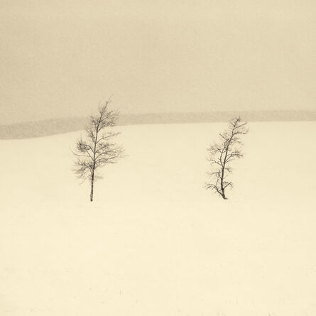 Peter Dusek, ‘Two Trees’, 2014