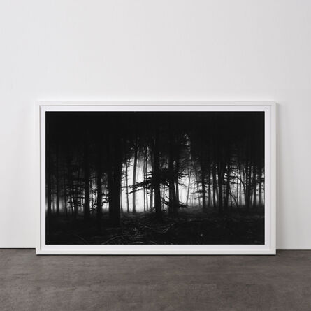 Robert Longo, ‘Forest of Doxa’, 2014