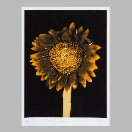 Chuck Close, ‘Sunflower’, 2011