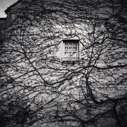 Michael Kenna, ‘Window and Vines, L'Abbaye de Fontenay, Bourgogne’, 2013
