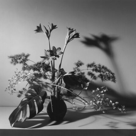 Robert Mapplethorpe, ‘Flower Arrangement’, 1980