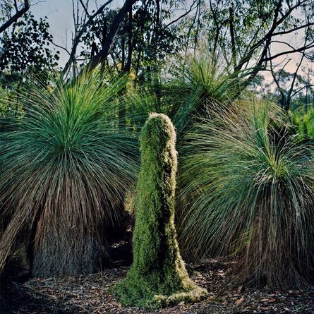 Polixeni Papapetrou, ‘Grasstree Man’, 2013