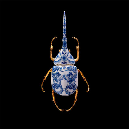 Samuel Dejong, ‘Anatomia Parvus Prints, Hercules Beetle Closed’, 2020
