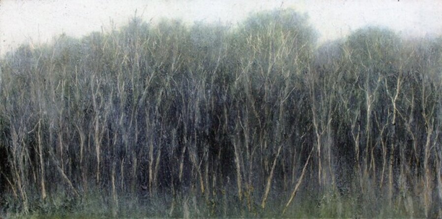 Black Locust Grove in the Rain
