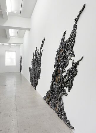 Cristina Iglesias: Entwined, installation view