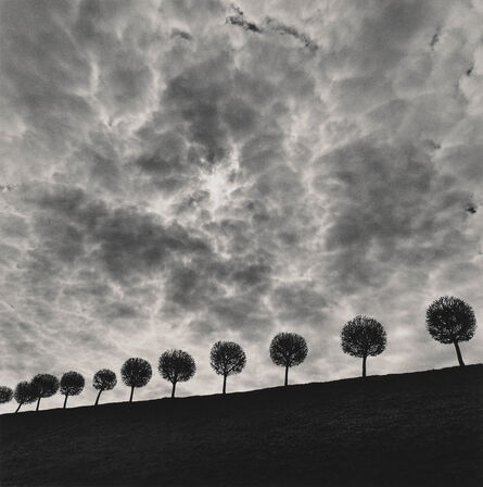 Michael Kenna, ‘Ten and a Half Trees’, 2000