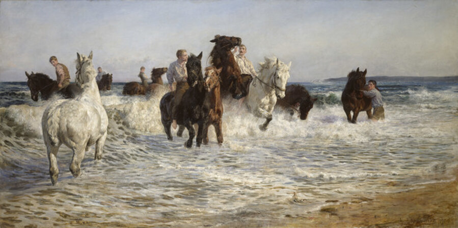 Horses bathing in the Sea