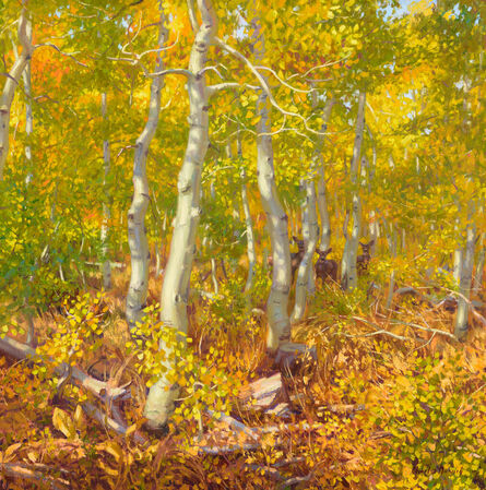 Charles Muench, ‘In the Comfort of an Aspen Grove’, ca. 2022
