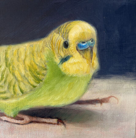Deborah Davidson, ‘Yellow Parakeet Portrait’, 2020