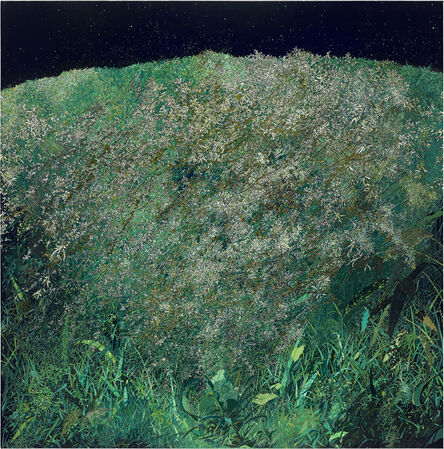 Zhou Fan 周范, ‘You Can Hear the Sound of Cicadas at Night’, 2012-2014