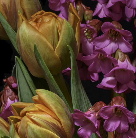 T.M. Glass, ‘Azaleas & Tulips’, 2019