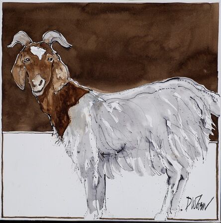 Don Coen, ‘Brown and White Goat’, 2023