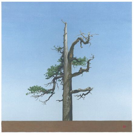 Greg Rose, ‘Throop Tree [N34*21.178+w117*47.957’, 2013