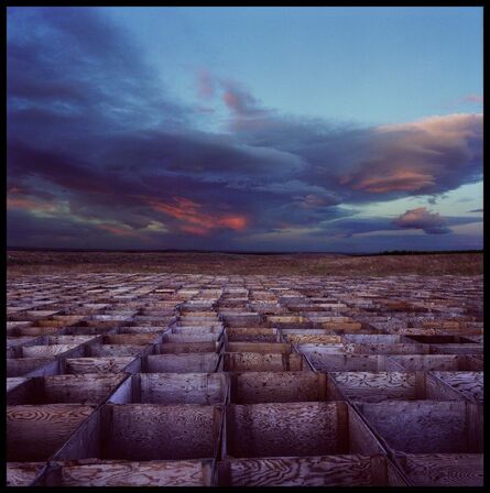 Jan Staller, ‘Field of Boxes’, Neg. date: 2001
