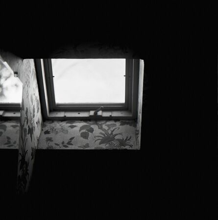 Elizabeth Nahum-Albright, ‘Bathroom Window’, 2016
