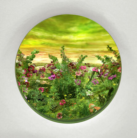 Patrick Jacobs, ‘Moonlit Bog with Anemones and Hollyhock (Diorama viewed through 7.5 inch window)’, 2020