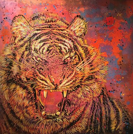 C215, ‘Tiger’, 2017